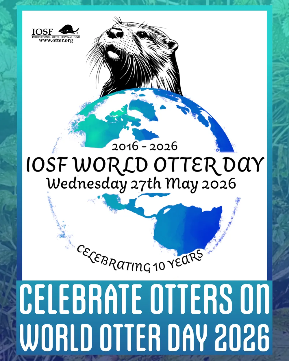 World Otter Day 2026: dieci anni per cambiare lo sguardo sulle lontre